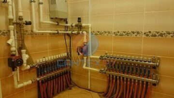 picture (10)