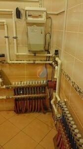 picture (11)